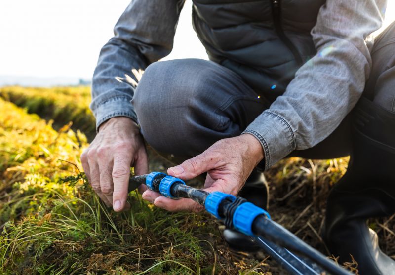 Post-Installation Care