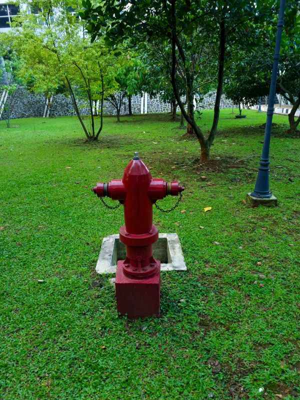 Hydrant in Landscape